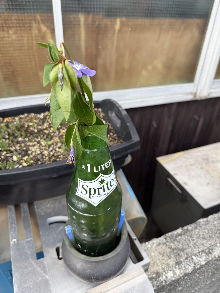 Afterdraw tweet media