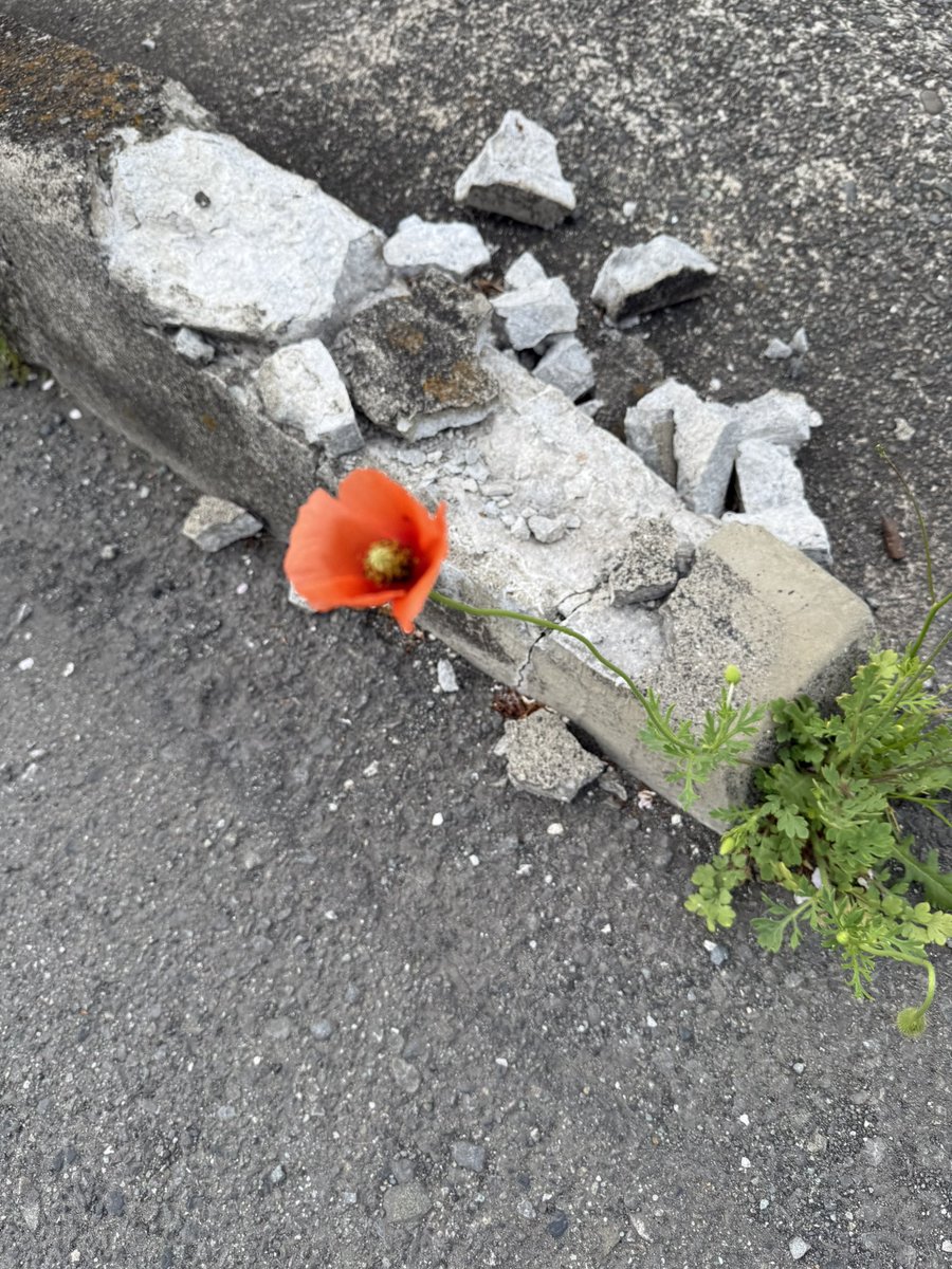 Afterdraw tweet media