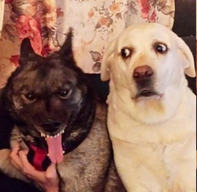 churiro | closed comms !! (will open soon) ⭐ tweet media