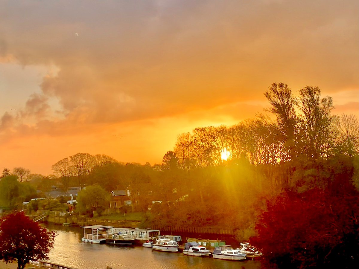 ruths_gallery's tweet image. A glorious golden start to Sunday. 

#viewfrommybalcony #loveUKweather #sunrise #twickenham #sundayvibes @SallyWeather
