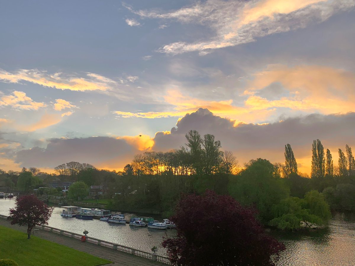 ruths_gallery's tweet image. A glorious golden start to Sunday. 

#viewfrommybalcony #loveUKweather #sunrise #twickenham #sundayvibes @SallyWeather