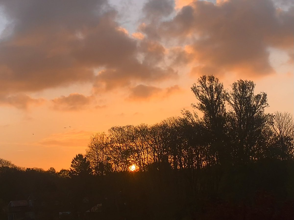 ruths_gallery's tweet image. A glorious golden start to Sunday. 

#viewfrommybalcony #loveUKweather #sunrise #twickenham #sundayvibes @SallyWeather