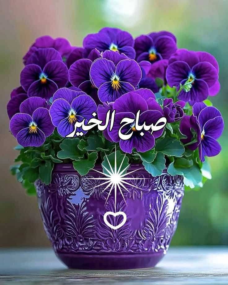 الوفاء العظيم tweet media