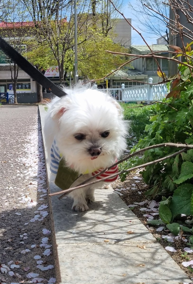 깨발랄삐돌이🕯 tweet media