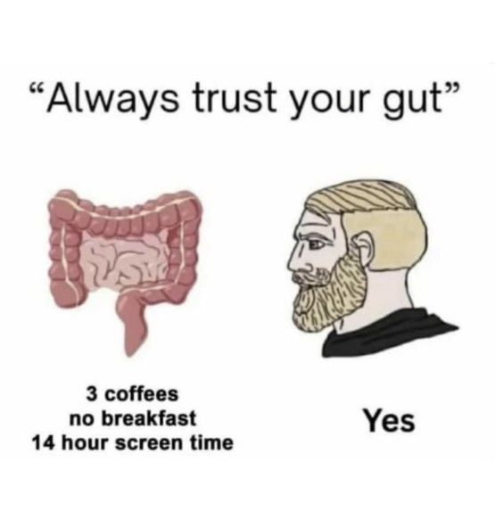 Insane Content tweet media