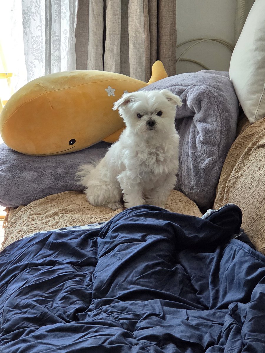 🌺정화🌺 tweet media