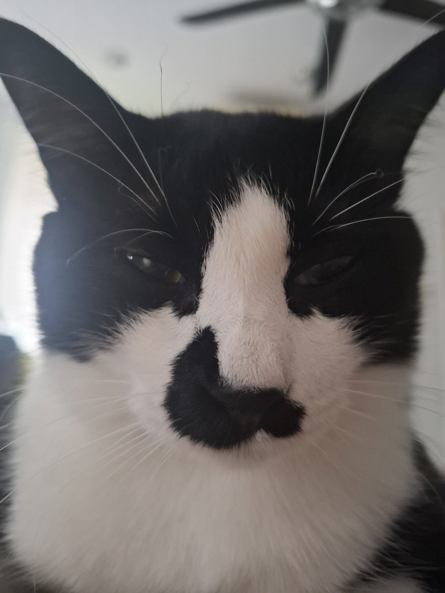 ectest1😈😈😈 tweet media