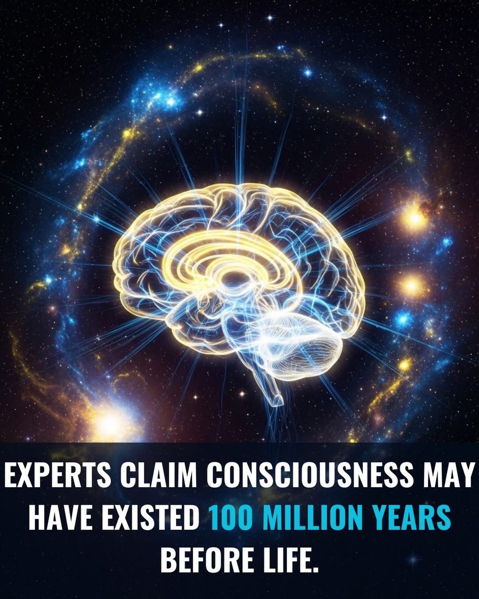 SciTech Girl tweet media