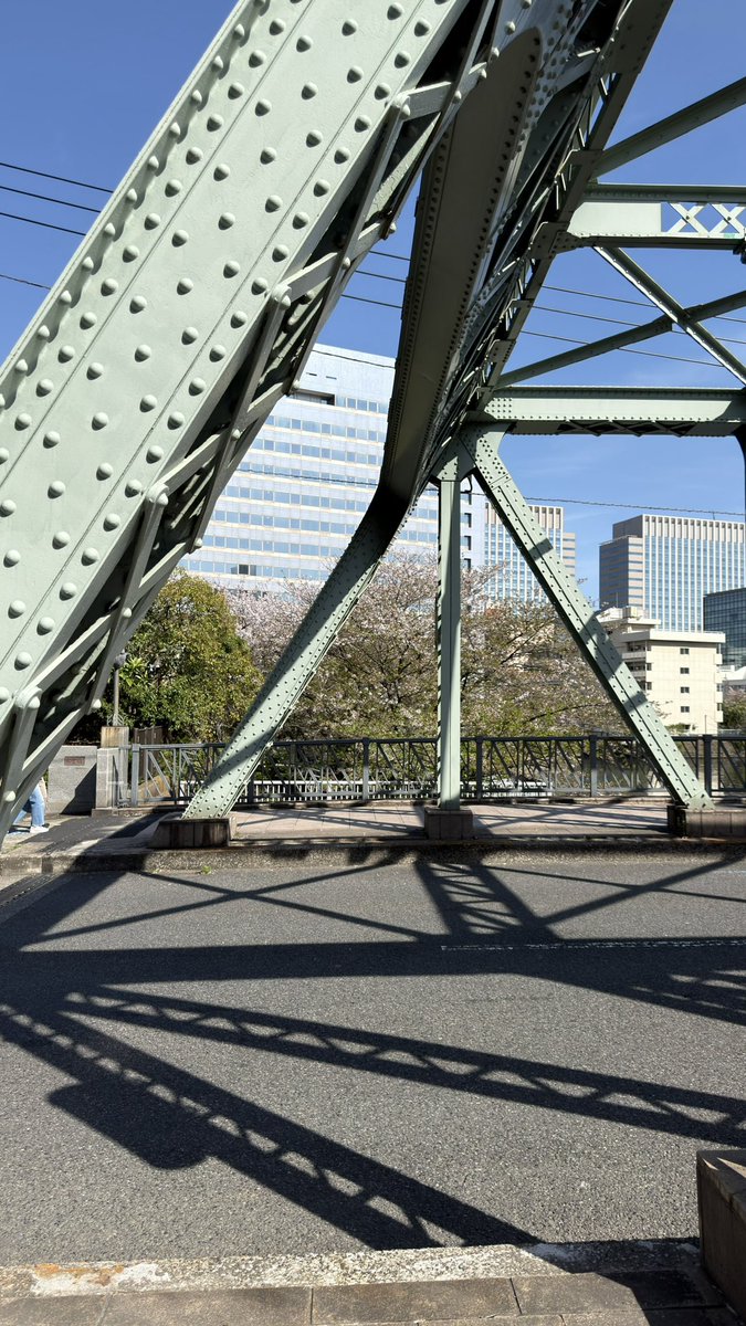 清澄白河に住むひと tweet media