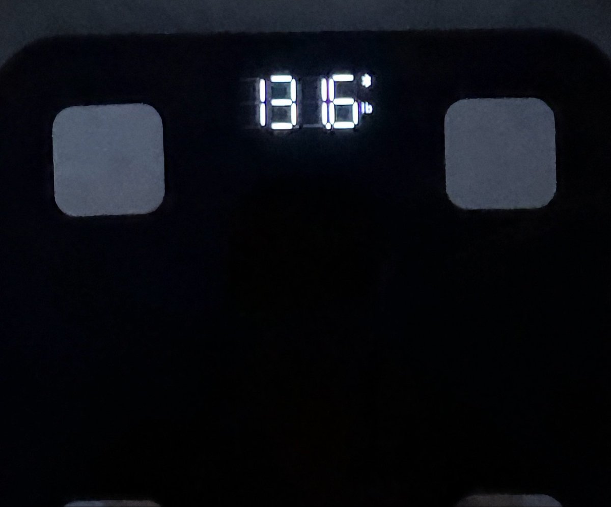 leora ♱ tweet media