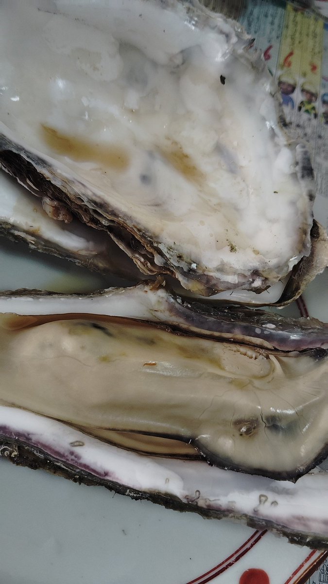 モゴモゴッ！！！モゴッ！モゴモゴゴッッッ！！！ tweet media