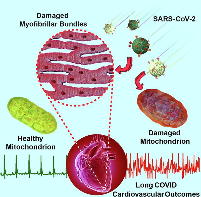 John Bailey tweet media