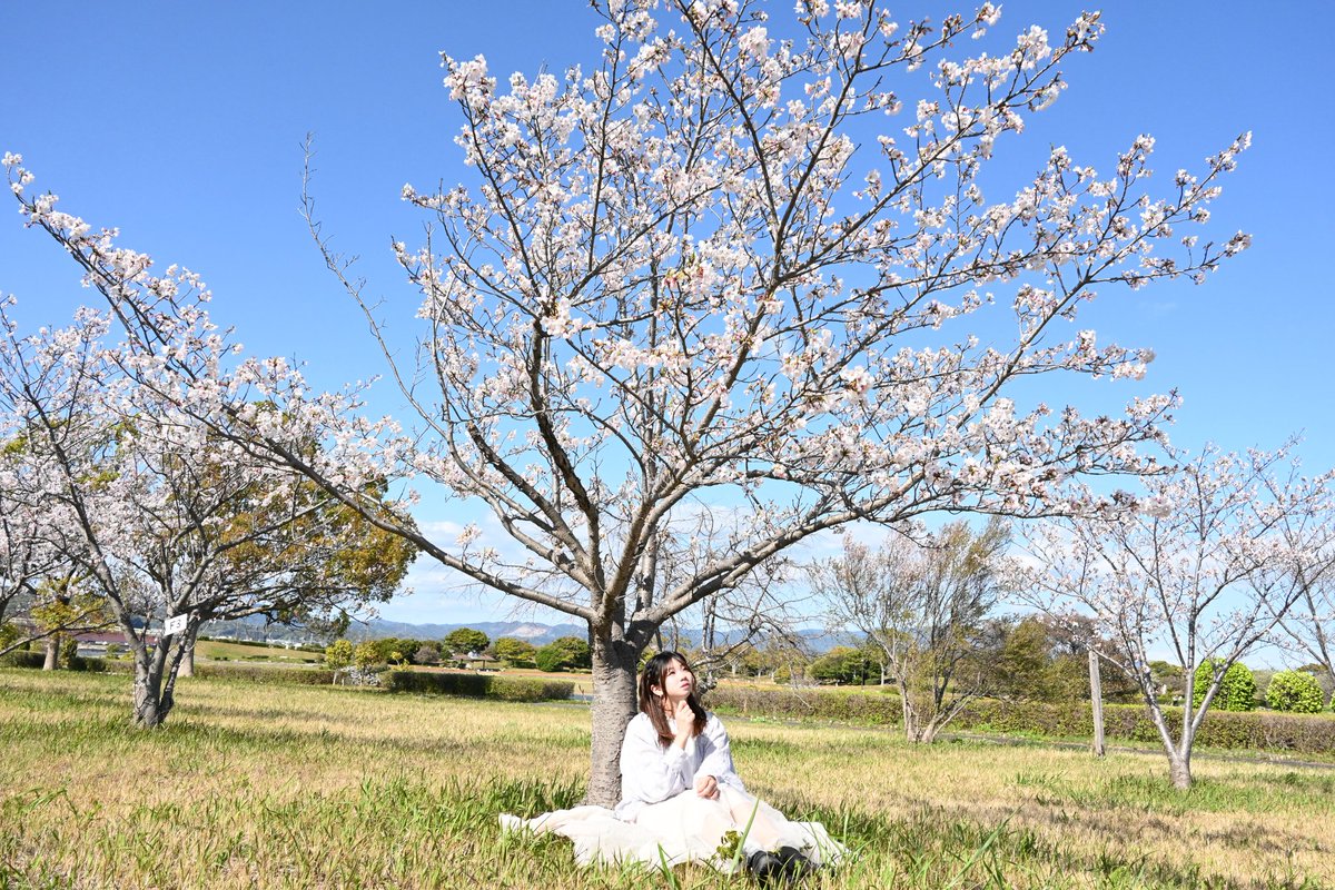 らの tweet media