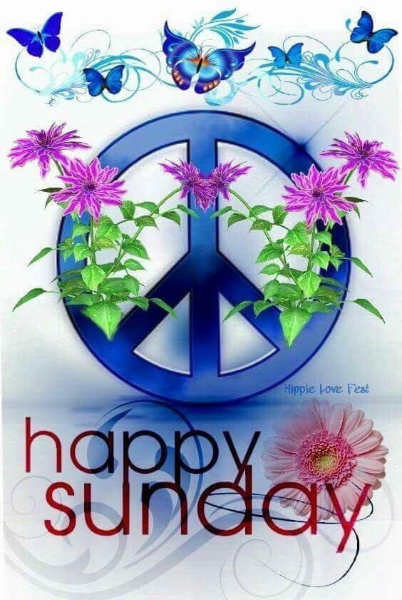 ☮️George Wilson 💛 tweet media