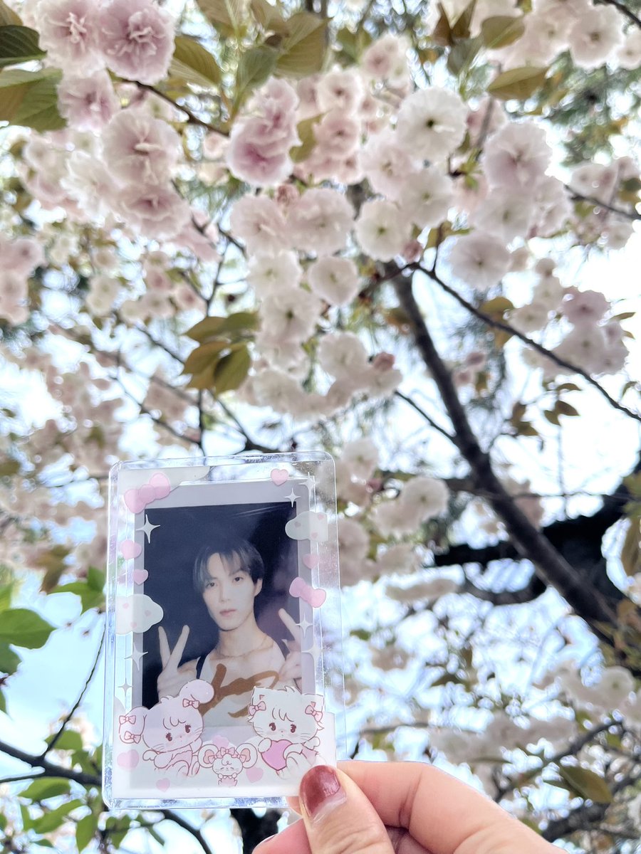 ゆかり tweet media