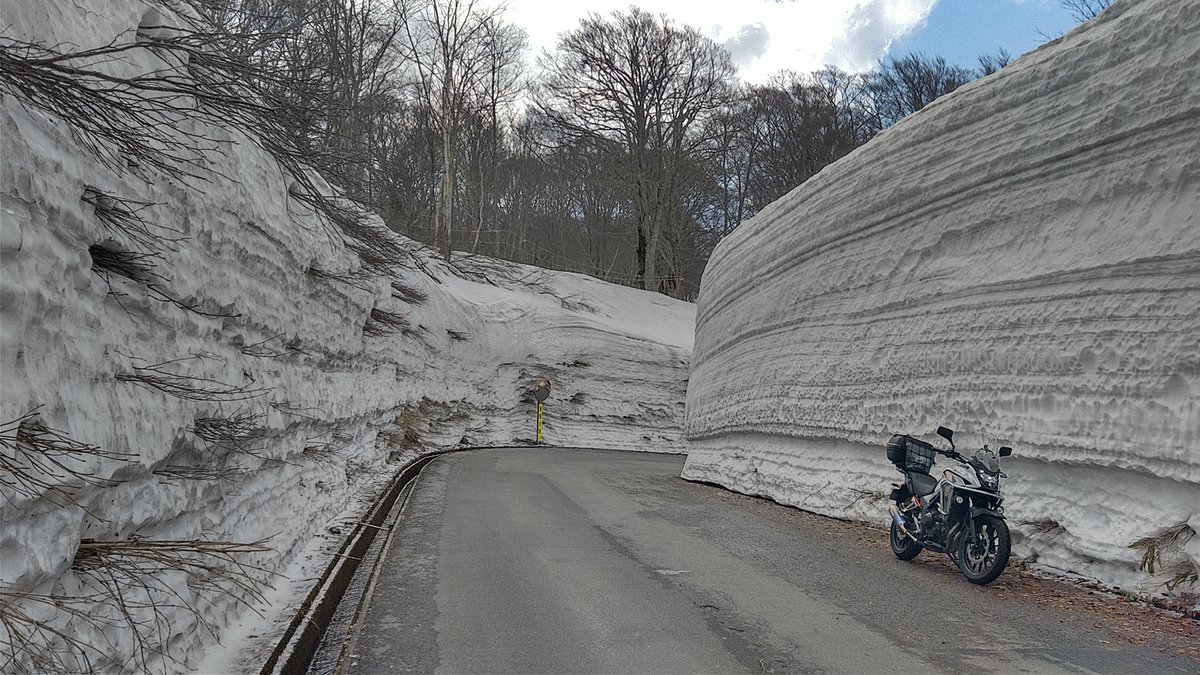 oga_oji's tweet photo. 生息地域の強風からまだマシな山形に逃避行！
月山志津線の雪の回廊を走ってきました。
登るちょい前に緊急の帰宅要請連絡！
この後の白川湖と水窪ダムの水没林はお預け＞＜　
仙台宮城IC付近で通行止めの先導車と並走しました。
#400X #バイク #ツーリング #雪の回廊 https://t.co/voAUZ4TGgt