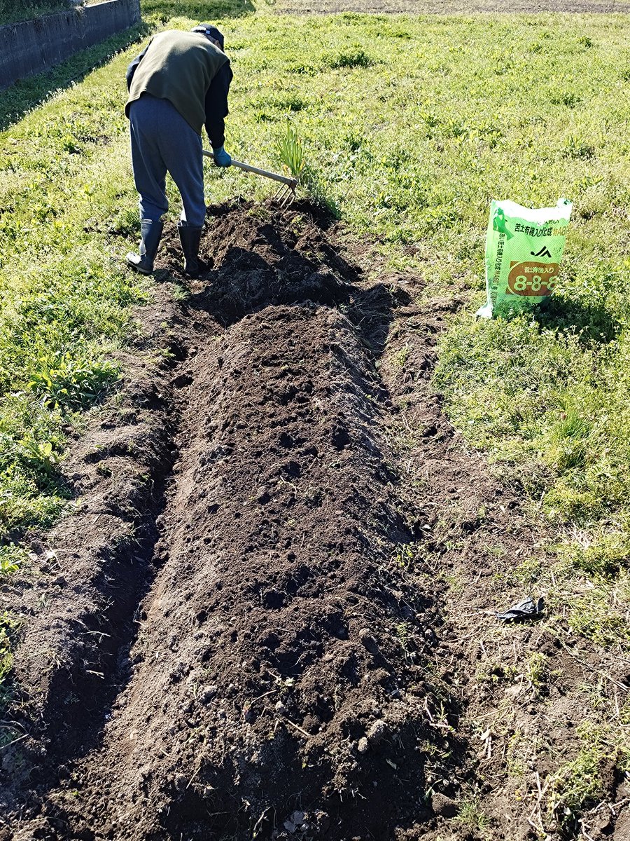 A.KITAGUCHI tweet media