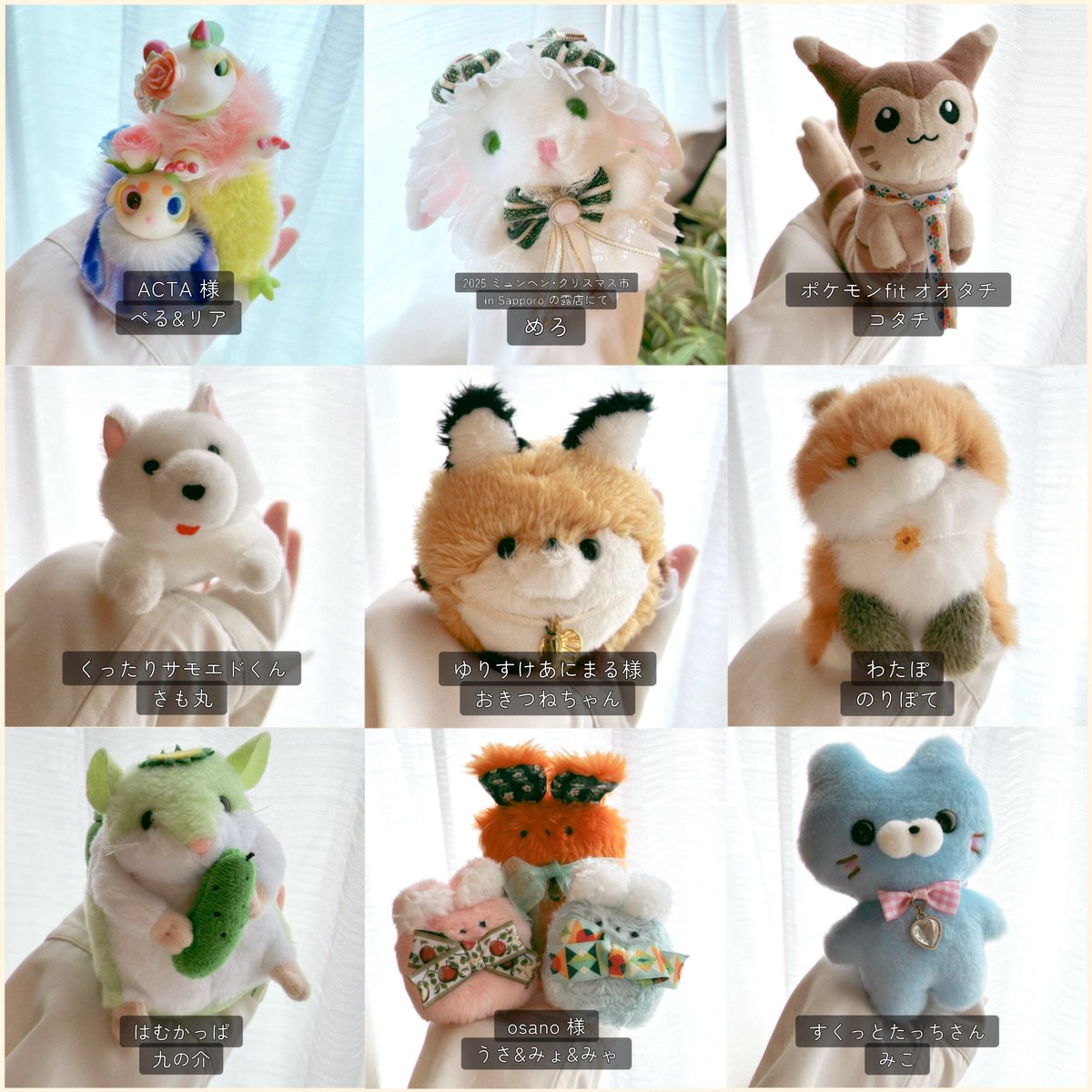 よんぬ. tweet media