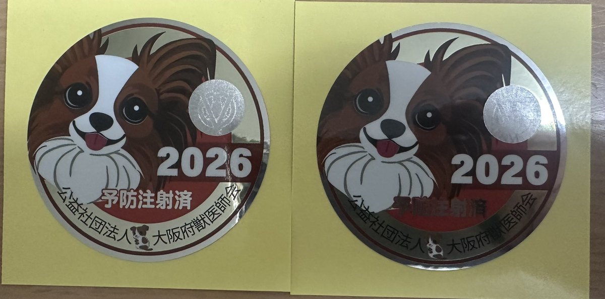 Dai @ベース弾き tweet media