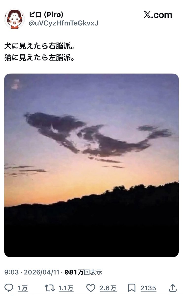 コアラ@直腸癌垢 tweet media