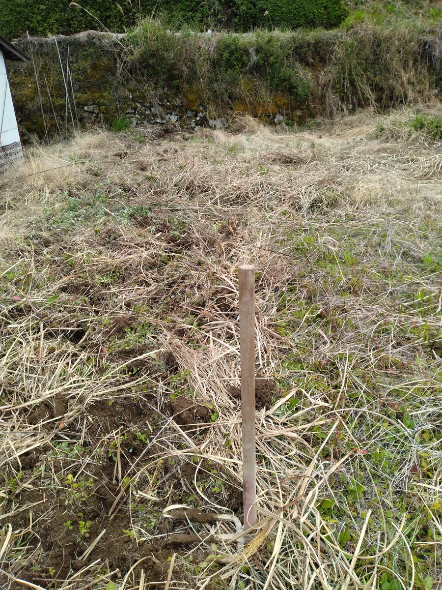Paragusboy's tweet photo. 畑を買ったので耕す。 https://t.co/9i4KMF830z