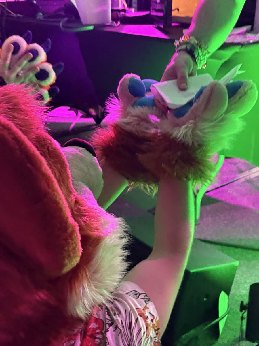 Toffee Corg tweet media