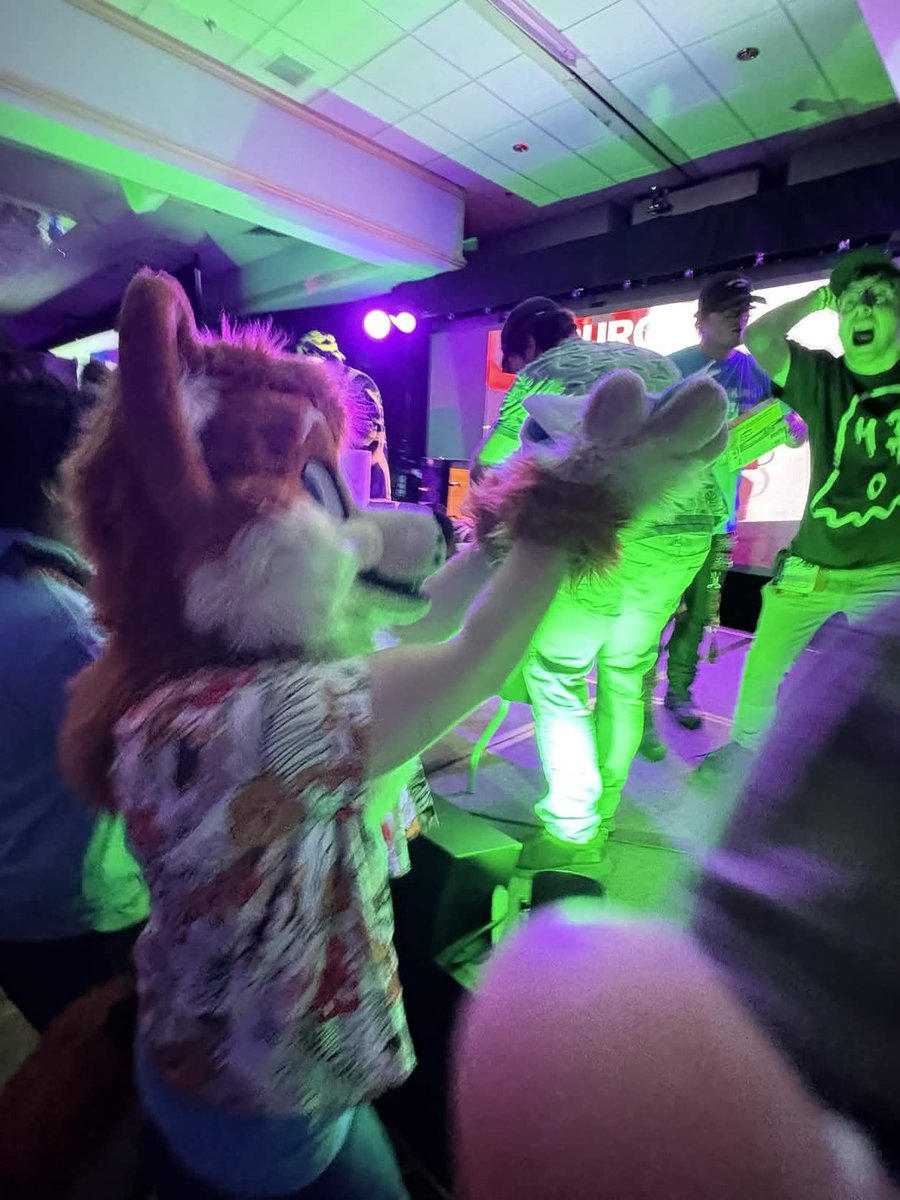 Toffee Corg tweet media