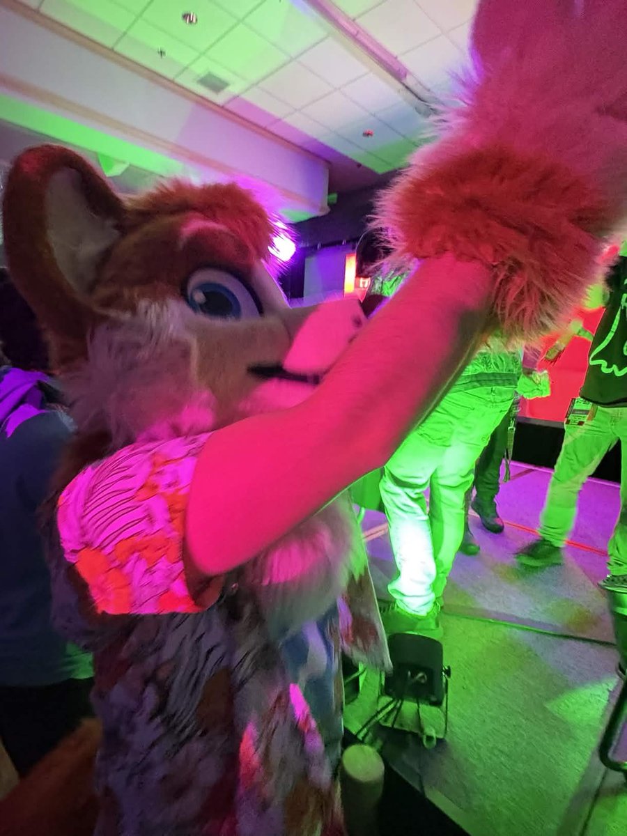 Toffee Corg tweet media