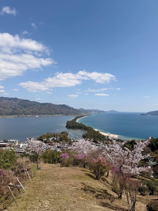 HkSpinge's tweet photo. So beautiful, I want to go to Japan to see the cherry blossoms! https://t.co/w3dKRx6PEV