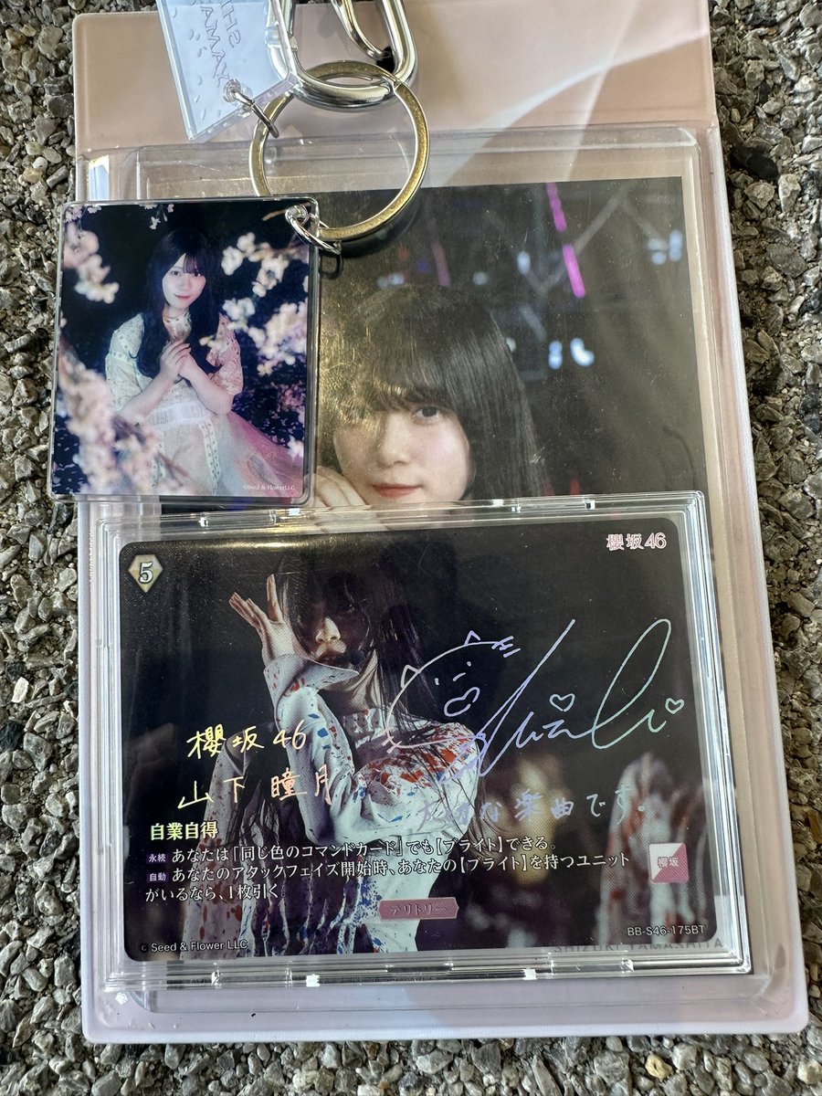 🌳have to ♻️ますと🗑 tweet media