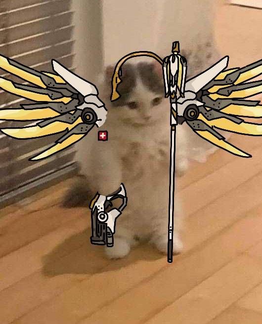 i love it when the whole team endorses my mercy