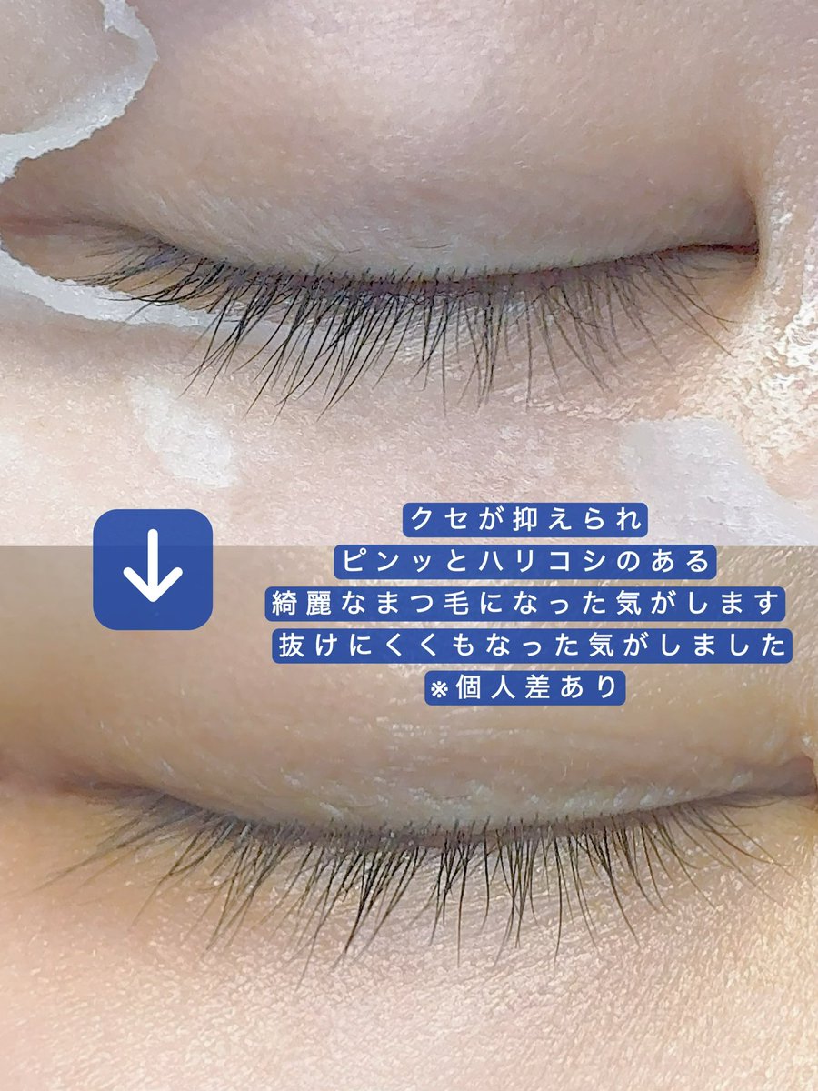 柴犬コスメ🐶 tweet media