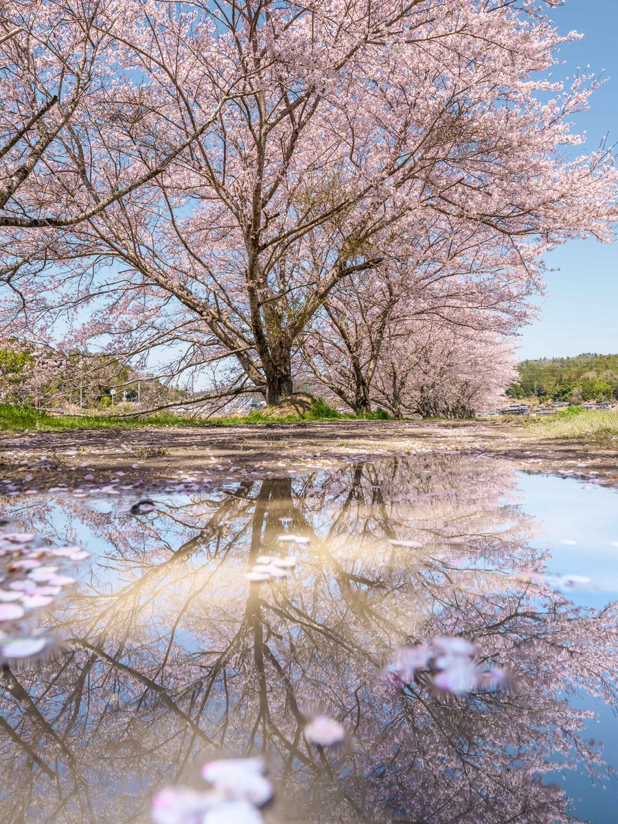 別所隆弘 Takahiro Bessho tweet media