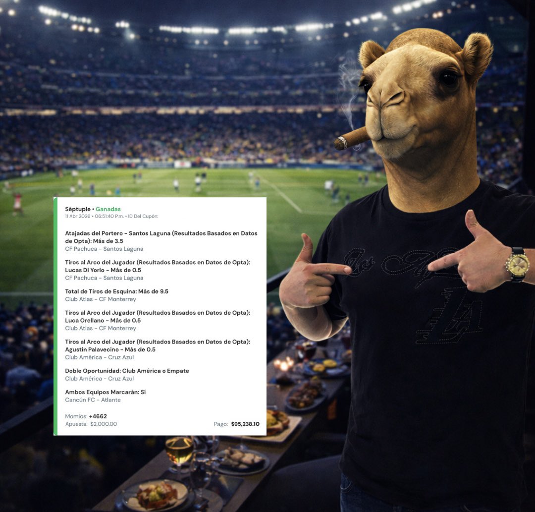 CAMELLO PICKS tweet media