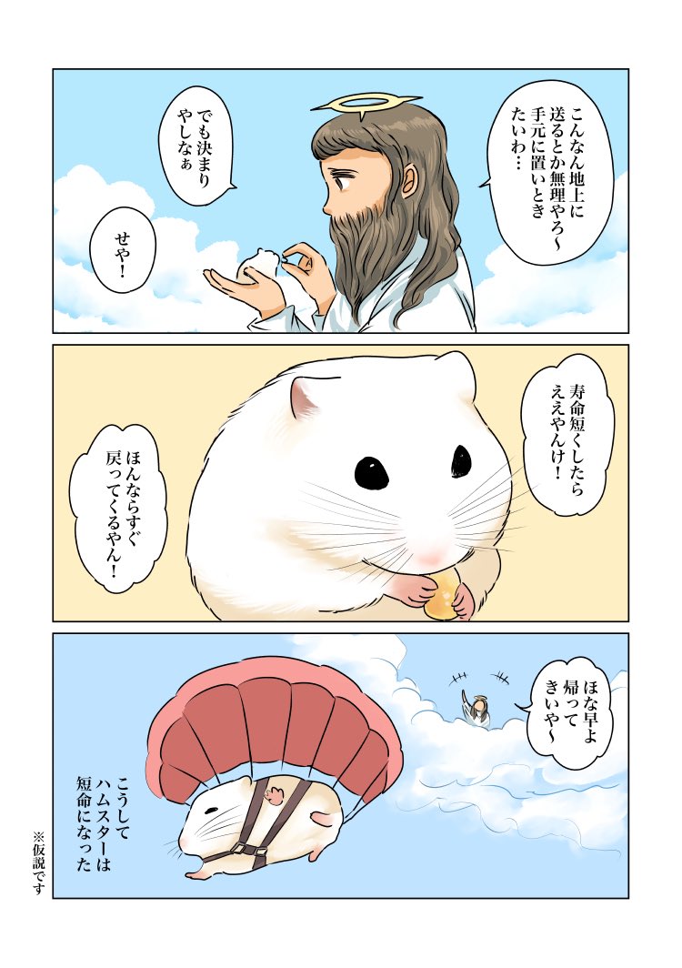 riccorinko's tweet photo. #世界ハムスターの日 ということで再掲。
ハムスターの寿命はなぜ短いのか。
そこには神様とこんなやり取りがあったのかも？ https://t.co/37vjxslEFB