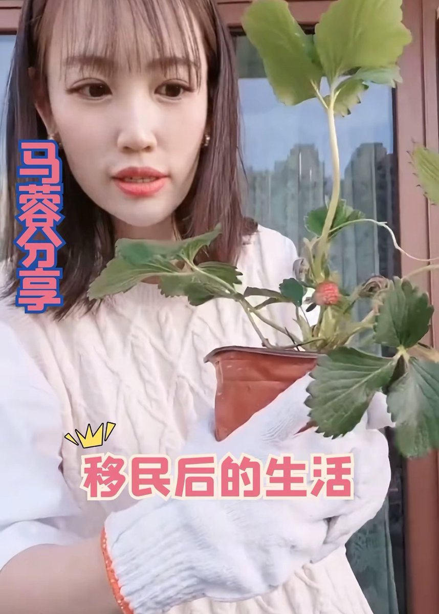 董小姐的日常 tweet media