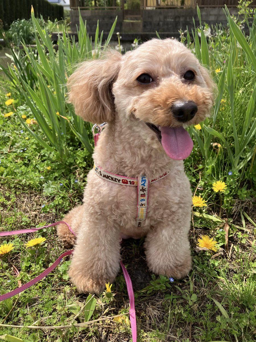 TanHima7 tweet media