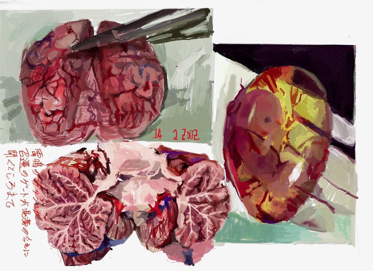 strangelove tweet media