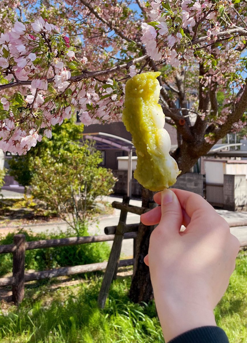 だいず. tweet media