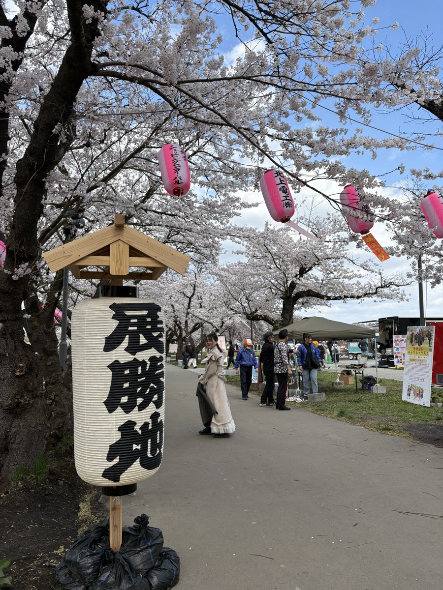 昨日に引き続き北上展勝地
賑わってたなぁ
シート広げてのんびりしてました！