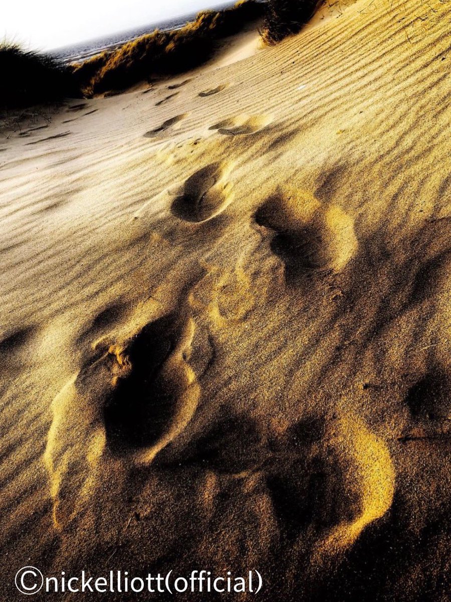 nickelliottinfo's tweet image. Steps taken
@nickelliottrock 
@nickelliottinfo 
@beaverbrookes23 
#steps #photography #norfolk #nickelliottrock #nickelliottrockartphotographer #nickelliottinfo
nick elliott rock art photographer (official)