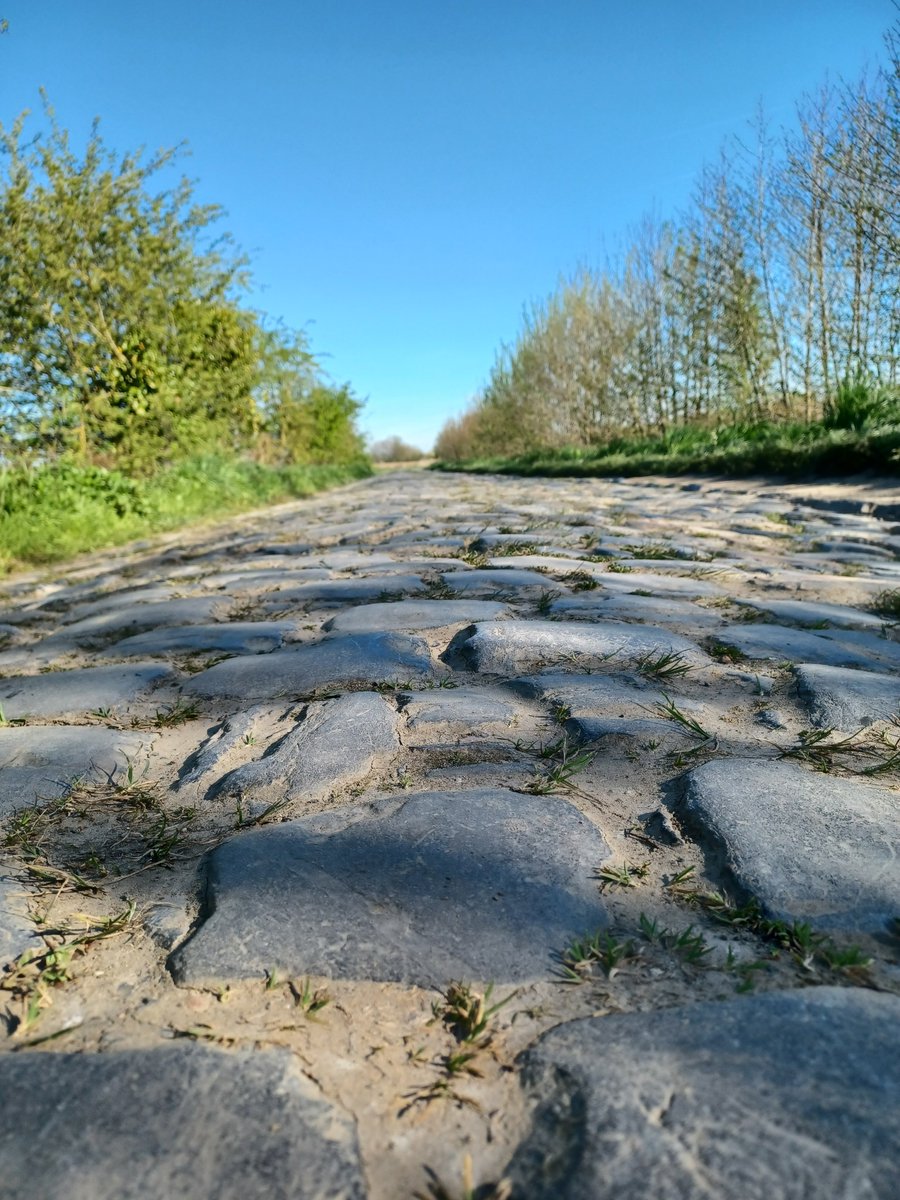 Nmallevay1's tweet photo. @chainelsteve @parisroubaix ❤️ https://t.co/8v0jAzF7Gp