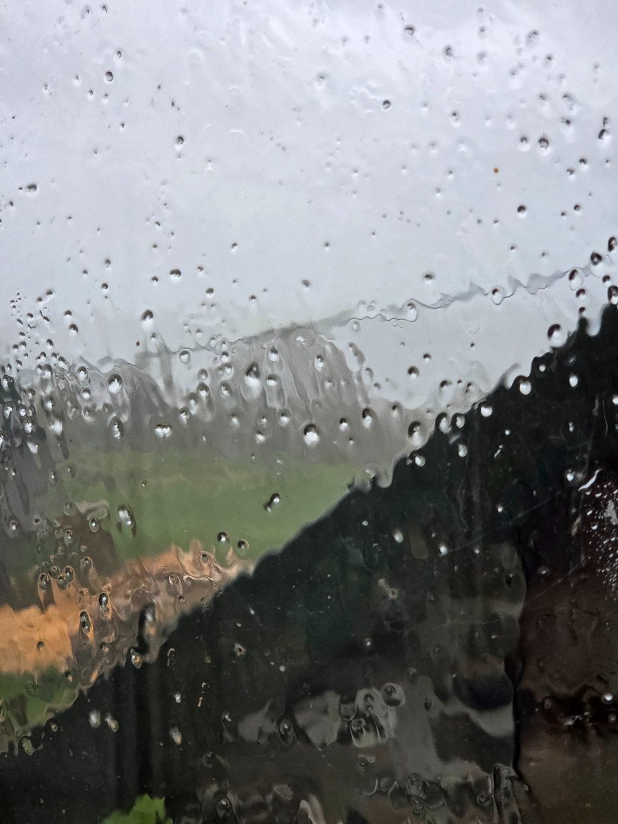 The Woolly Patchwork Sheep Sanctuary tweet media