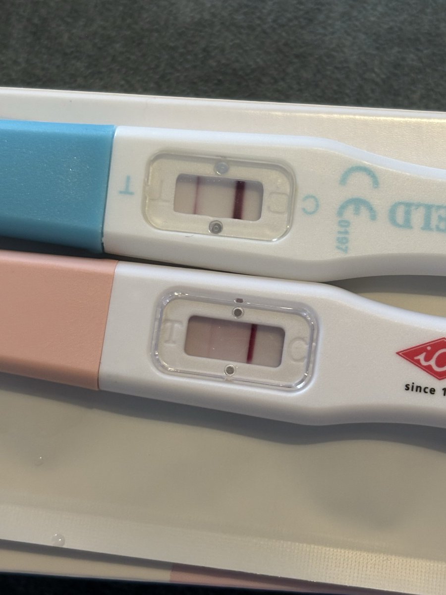 Proyecto Papas tweet media