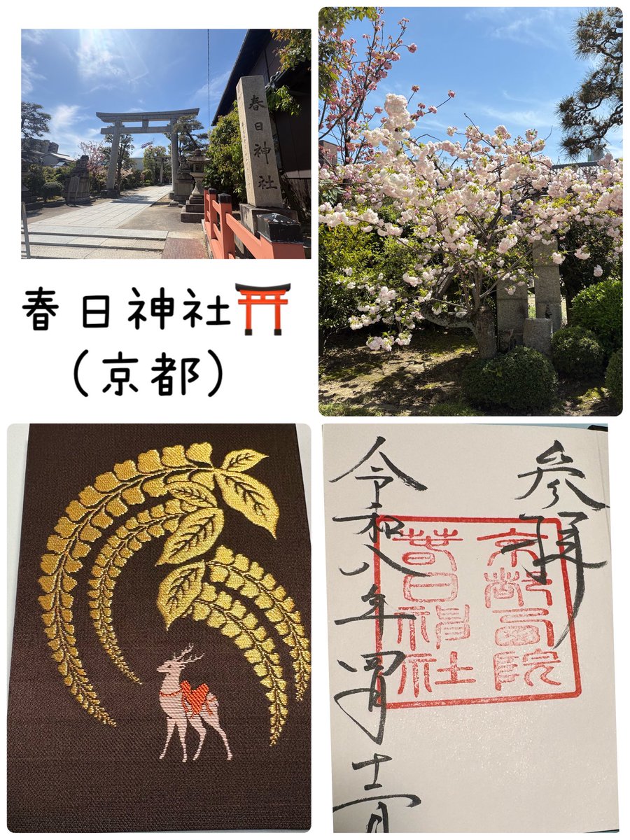 ayami🦫🌏🐀👁️‍🗨️🐍 tweet media