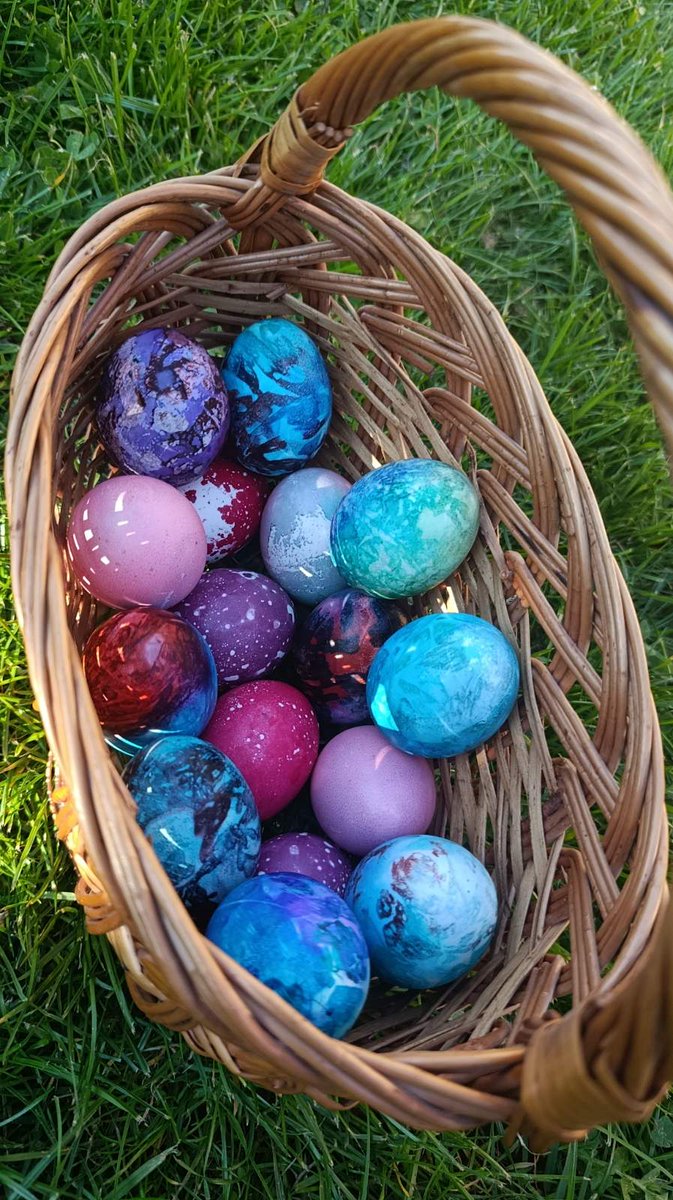 Јелена Вртикапа tweet media