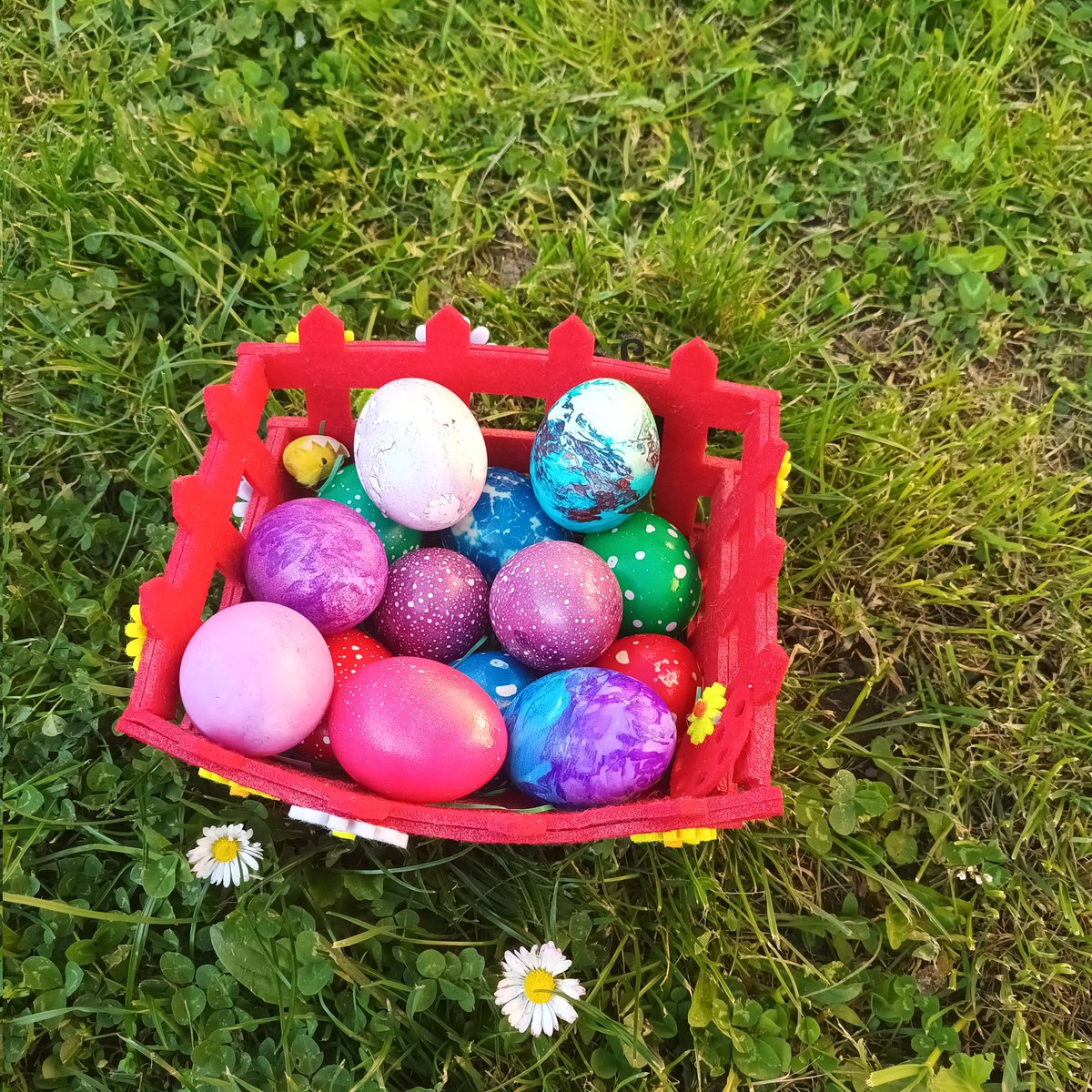 Јелена Вртикапа tweet media