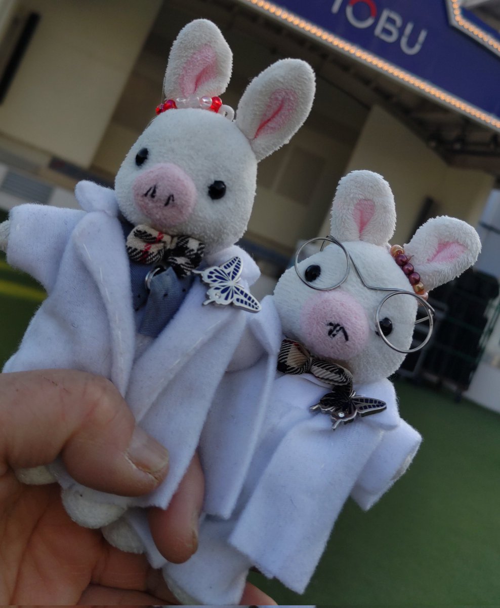 つまつま tweet media