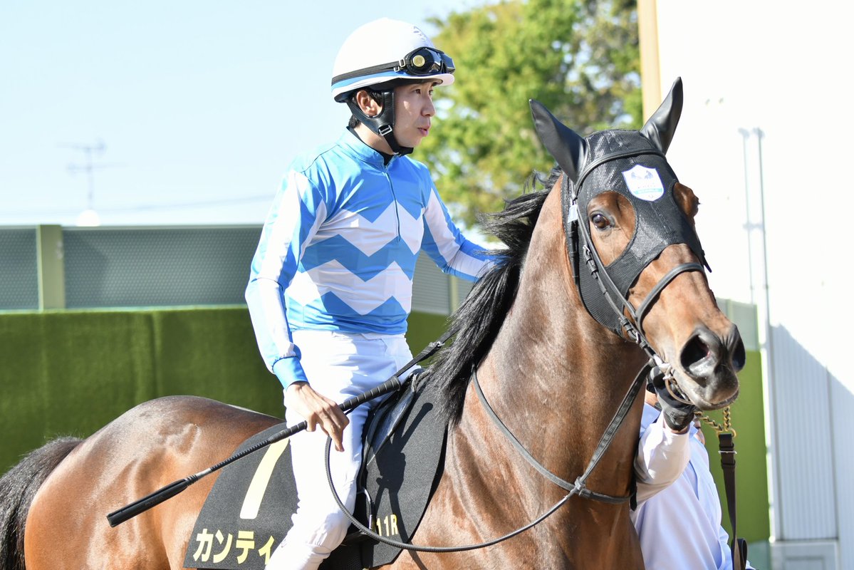 手羽先 tweet media