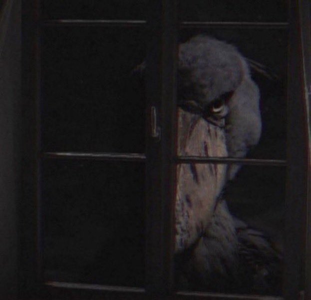 🌷Yuna (playing League for jv 😮💨) tweet media